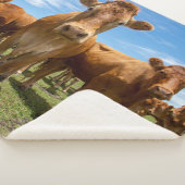 Farms Brown Cow Group Sherpa Deken (3/4)