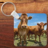 Farms Brown Cow Group Sleutelhanger (Voorkant)