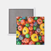 Farms Colorful Tomato Harvest Magneet (Voorkant / Achterkant)