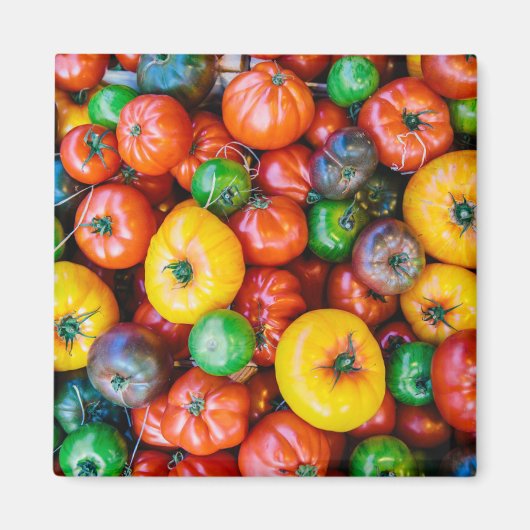 Farms Colorful Tomato Harvest Magneet (Voorkant)