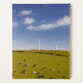 Farms | Cows Near Windmill Farm (Dos)