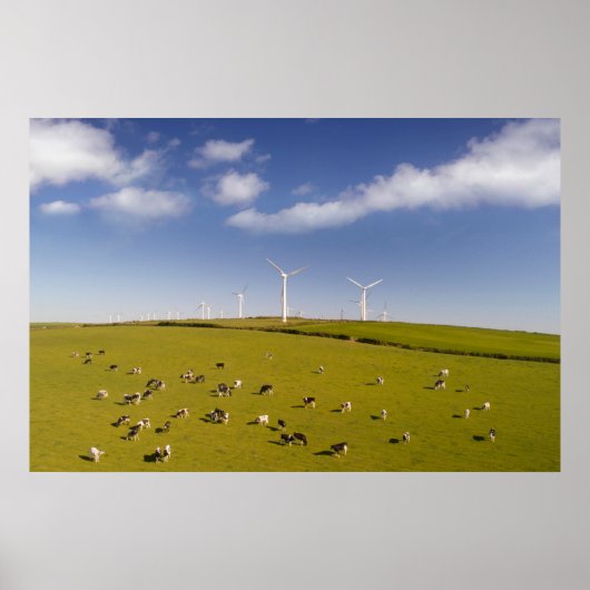 Farms | Cows Near Windmill Farm Poster (Voorkant)