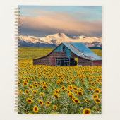 Farms | Field (Devant)