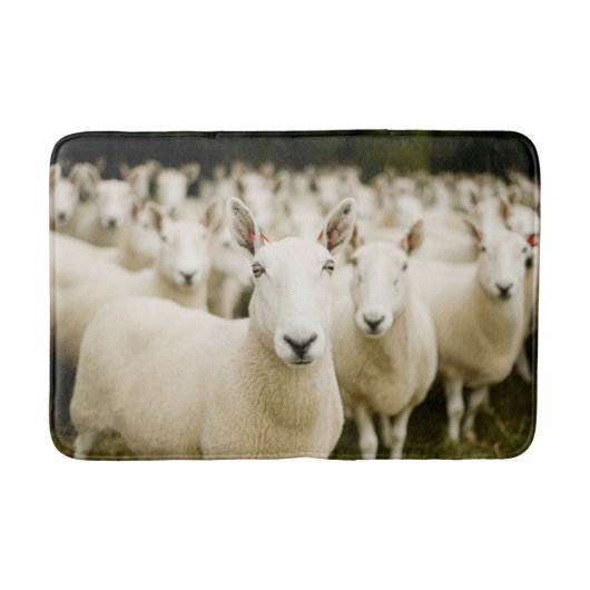 Farms | Herd of Sheep Badmat (Voorkant)