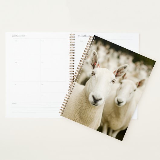 Farms | Herd of Sheep Planner (Display)