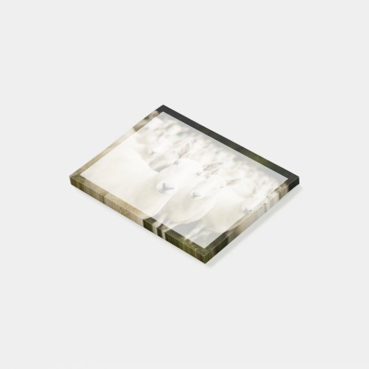 Farms | Herd of Sheep Post-it® Notes (Schuin)