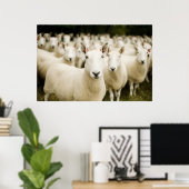 Farms | Herd of Sheep Poster (Thuiskantoor)