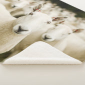 Farms | Herd of Sheep Sherpa Deken (3/4)