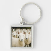 Farms | Herd of Sheep Sleutelhanger (Voorkant)