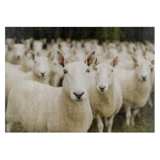 Farms | Herd of Sheep Snijplank (Voorkant)