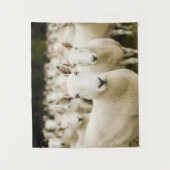 Farms | Herd of Sheep Wandkleed (Voorkant)