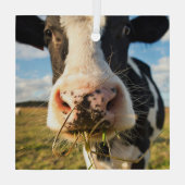 Farms | Holstein Cow Chewing Glas Ornament (Achterkant)