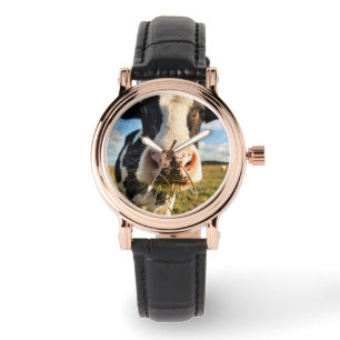 Farms   Holstein Cow Chewing Horloge