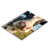 Farms | Holstein Cow Chewing Notitieboek (Linkerzijde)