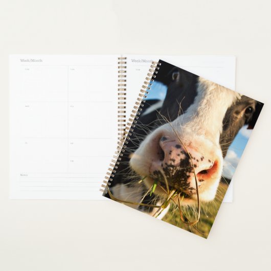 Farms | Holstein Cow Chewing Planner (Display)