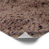 Farms | Rusty Antique Tractor Poster (Hoek)