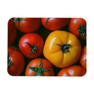Farms Shiny Red & Yellow Tomatoes Magneet
