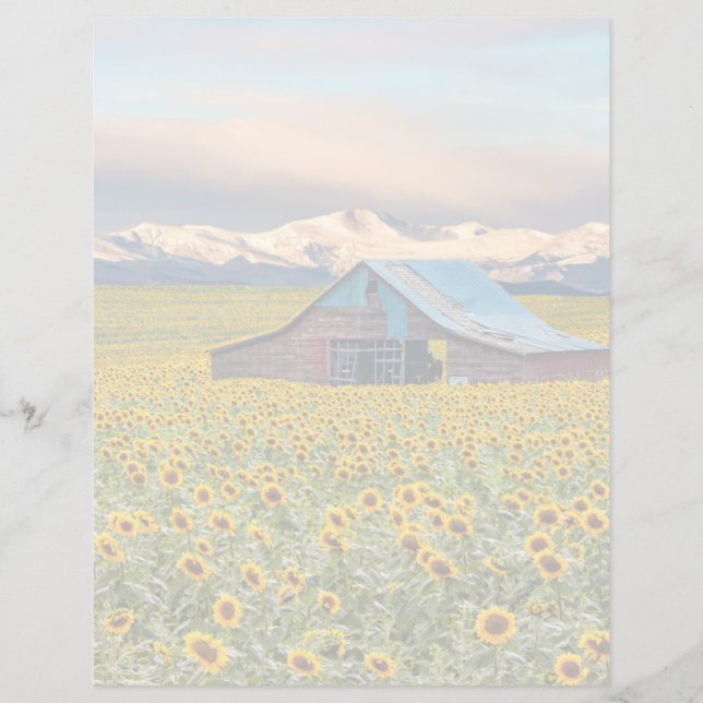 Farms | Sunflower Field (Voorkant)