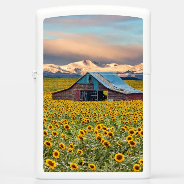 Farms | Sunflower Field (Voorkant)