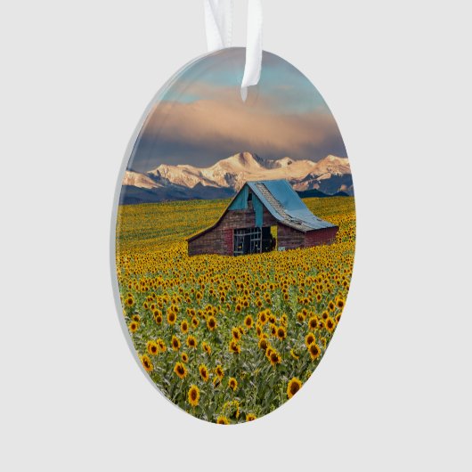 Farms | Sunflower Field (devant)