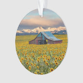 Farms | Sunflower Field (devant)