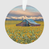 Farms | Sunflower Field (devant)