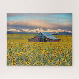 Farms Sunflower Field Legpuzzel
