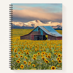 Farms   Sunflower Field Notitieboek
