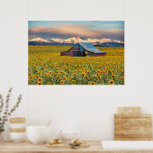 Farms | Sunflower Field Poster (Keuken)