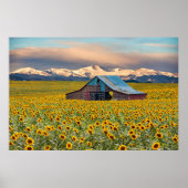 Farms | Sunflower Field Poster (Voorkant)