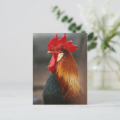 Farmyard Domestic Rooster Briefkaart (Staand voorkant)