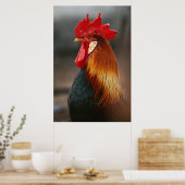 Farmyard Domestic Rooster Poster (Keuken)