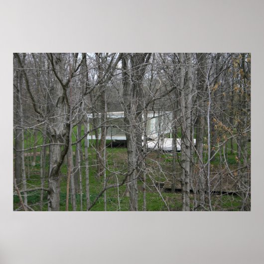 Farnsworth House, Bossen Poster (Voorkant)