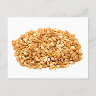 Farro Briefkaart