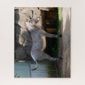 Farting Zebra Jigsaw Puzzle (Vertical)