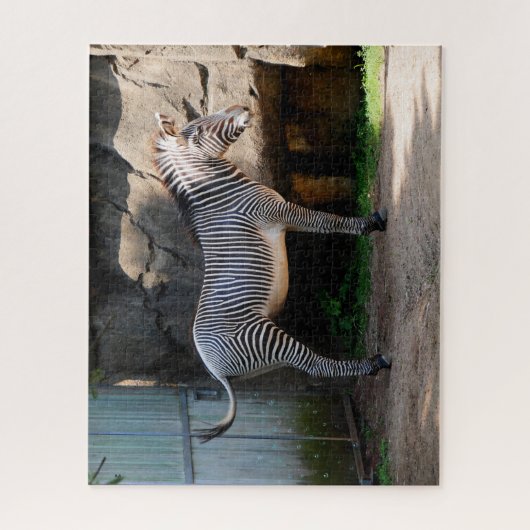 Farting Zebra Jigsaw Puzzle (Vertical)