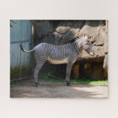 Farting Zebra Jigsaw Puzzle (Horizontal)