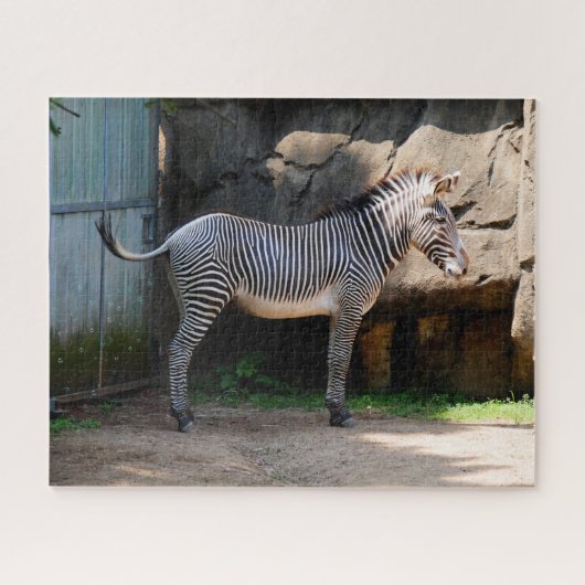 Farting Zebra Jigsaw Puzzle (Horizontal)