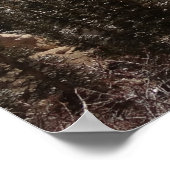 Farview Point in Bryce Canyon National Park Poster (Hoek)