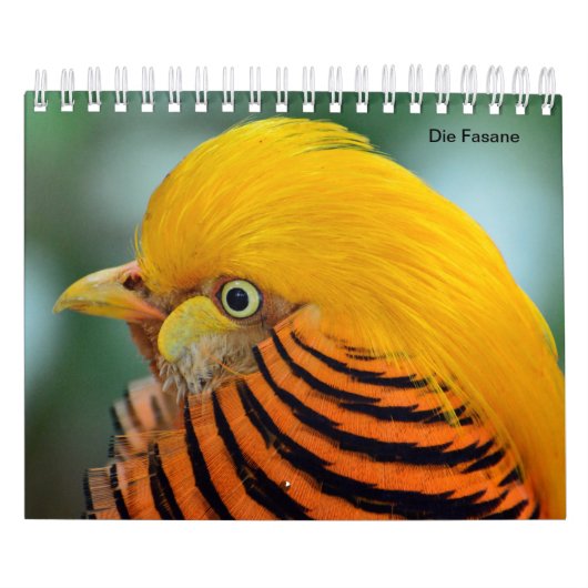 Fasane als Kalender (Hoes)