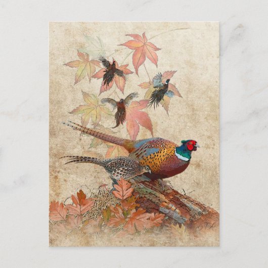 Fasant tapestry acrylprint briefkaart (Voorkant)