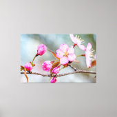 Fascination van kersenbloesems in de lentetuin canvas afdruk (Voorkant)