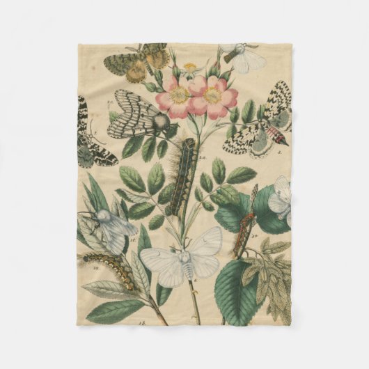 Fasen van Butterfly Life by Vision Studio Fleece Deken (Voorkant)