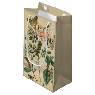 Fasen van Butterfly Life by Vision Studio Klein Cadeauzakje