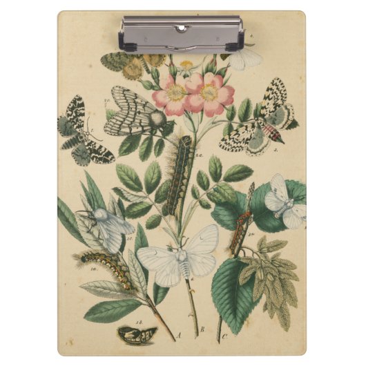 Fasen van Butterfly Life by Vision Studio Klembord (Voorkant)