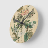 Fasen van Butterfly Life by Vision Studio Ronde Klok (Hoek)