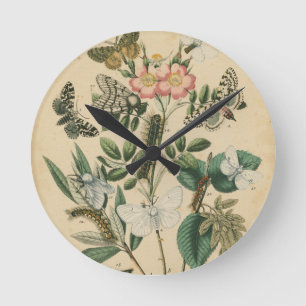 Fasen van Butterfly Life by Vision Studio Ronde Klok