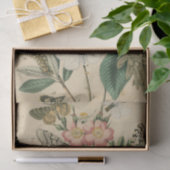 Fasen van Butterfly Life by Vision Studio Tissuepapier (Geschenk)