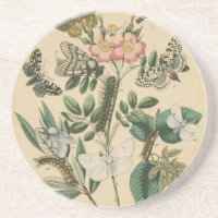 Fasen van Butterfly Life by Vision Studio