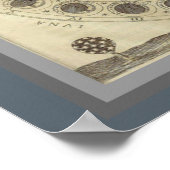  fasen van de maan 16 x 20 Poster (Hoek)